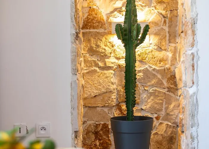 아파트 Les Sablettes - Cosy Vue Mer, Vieux